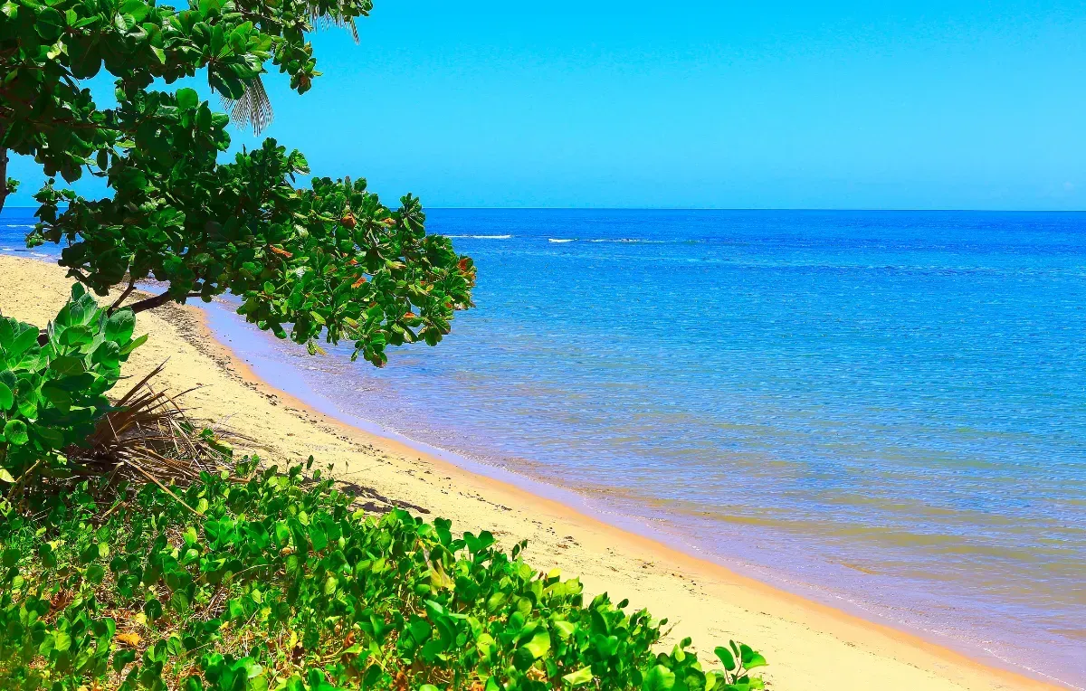 Imagem da galeria de Praia do Forte